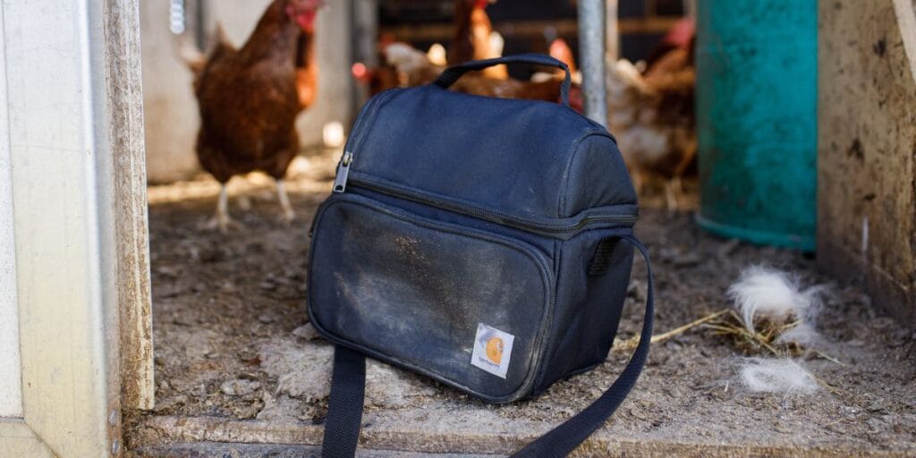 Carhartt koeltas